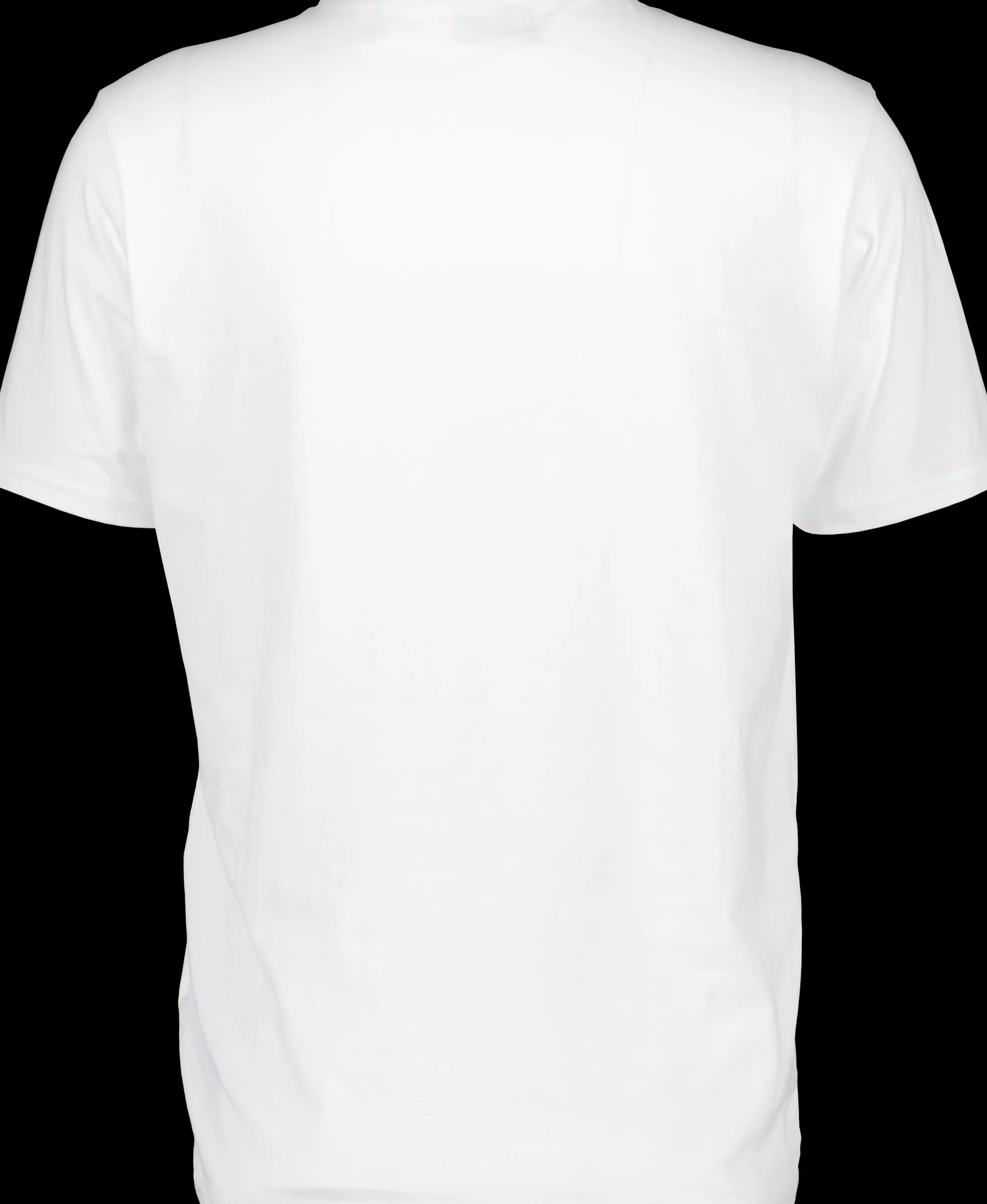 T-Shirts & Polos*Didriksons Heritage Printed Men's T-Shirt Snow White